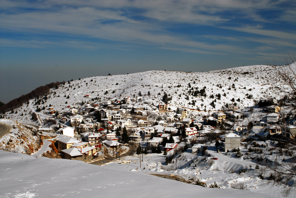 dsc_0243.jpg dsc_0243.jpg