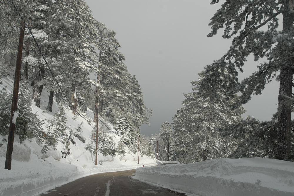dsc_0287.jpg dsc_0287.jpg