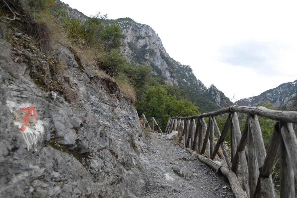 dsc_0356.jpg dsc_0356.jpg