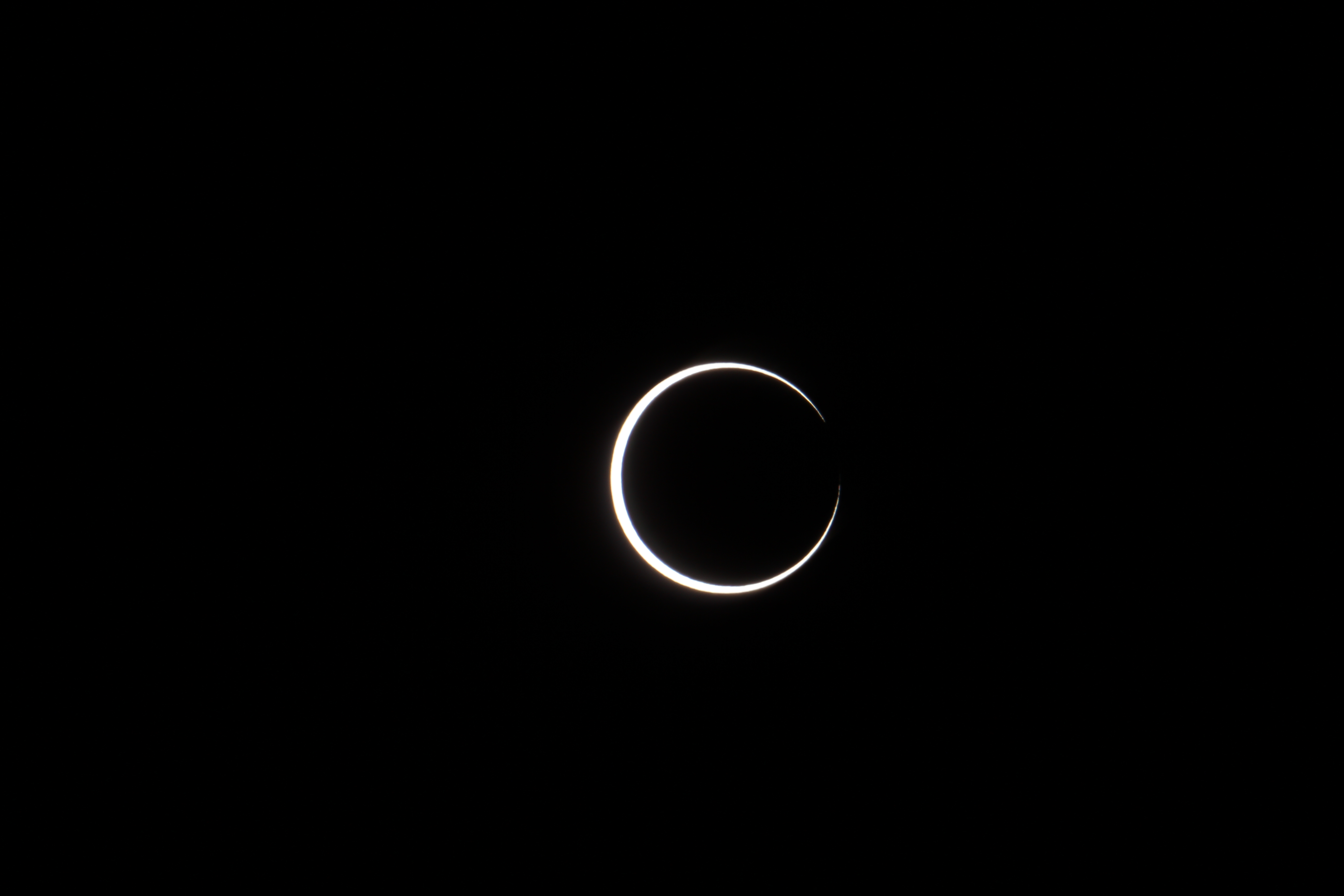 img_1570.jpg img_1570.jpg