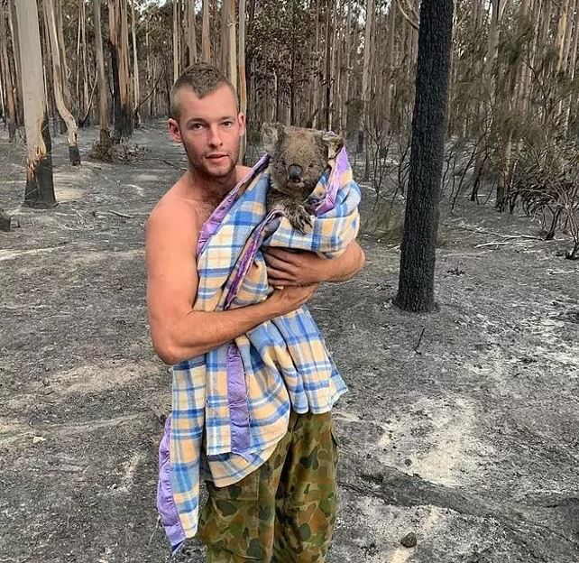 koala.jpg Κοάλα σώζεται από άνθρωπο