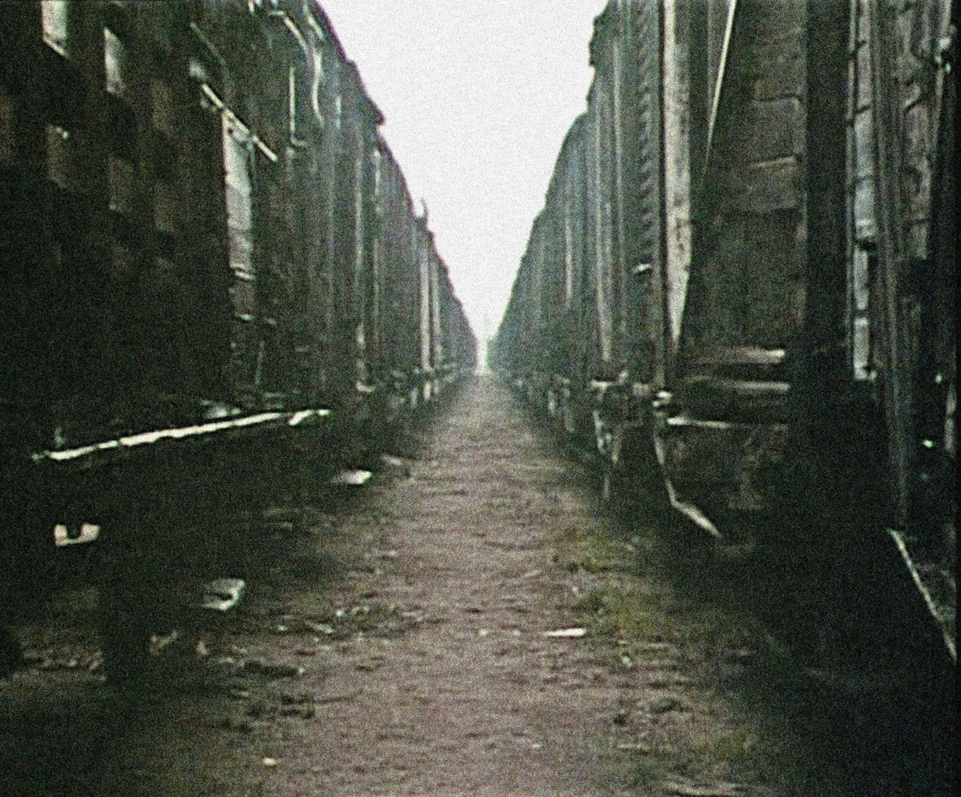 shoah_3.jpg shoah_3.jpg