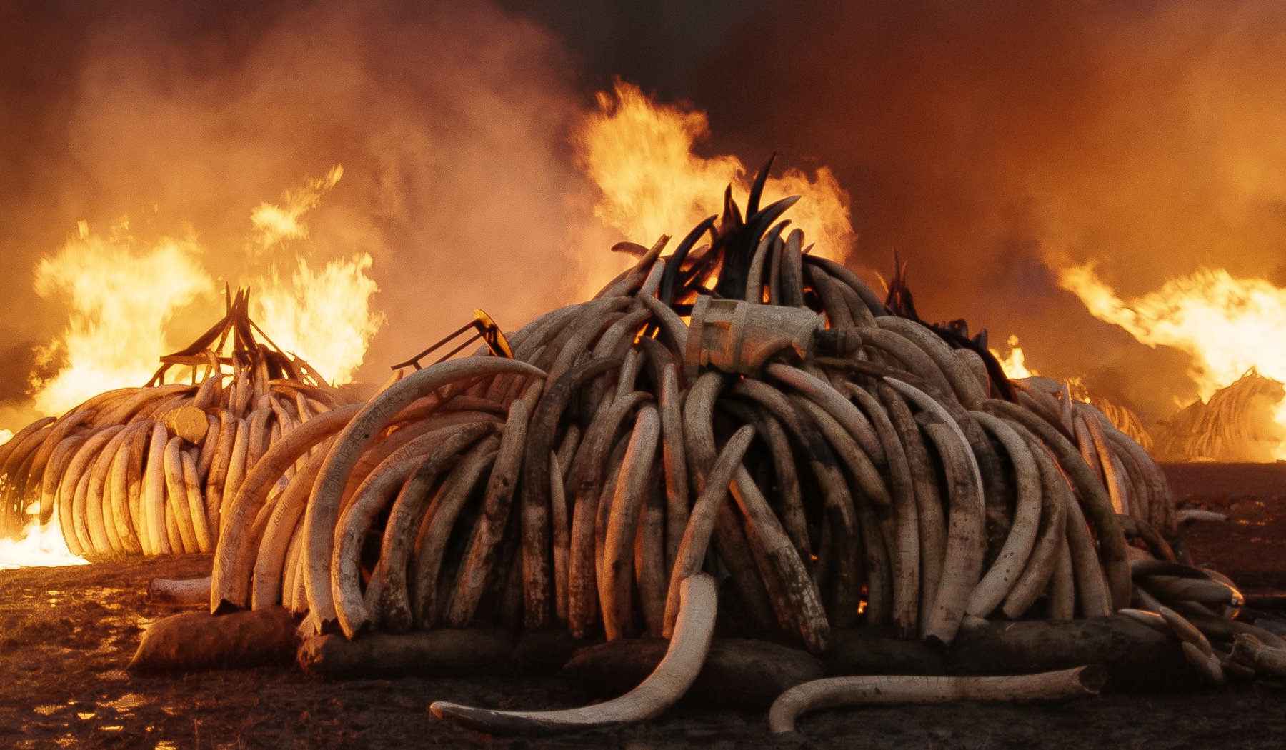 anthropocene_the_human_epoch_3.jpg anthropocene_the_human_epoch_3.jpg