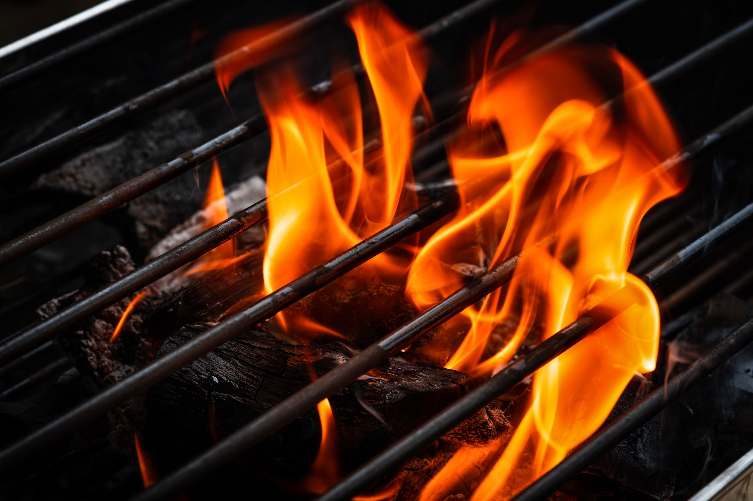 bbq.jpg bbq.jpg
