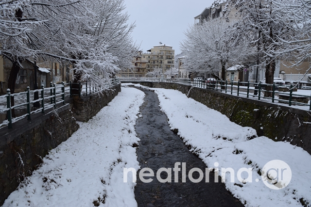 dsc_0753.jpg dsc_0753.jpg