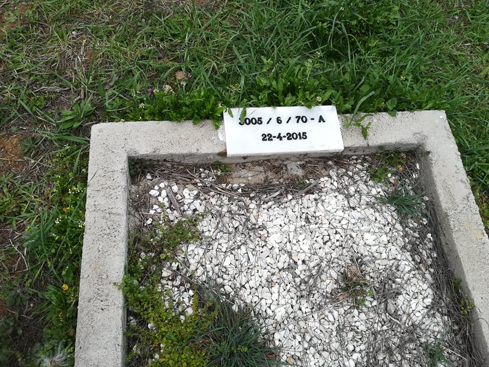 2.jpg 2.jpg