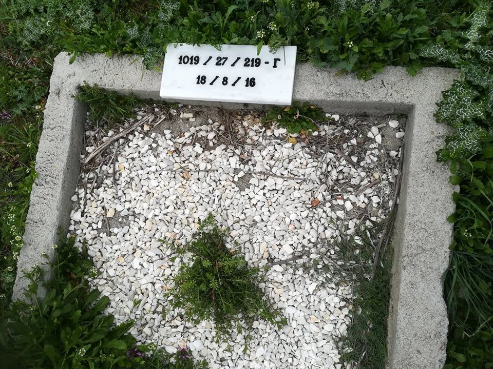 5.jpg 5.jpg