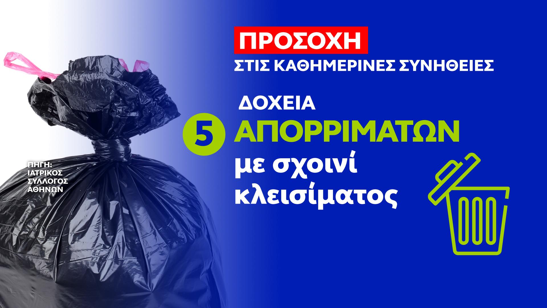 5.jpg 5.jpg