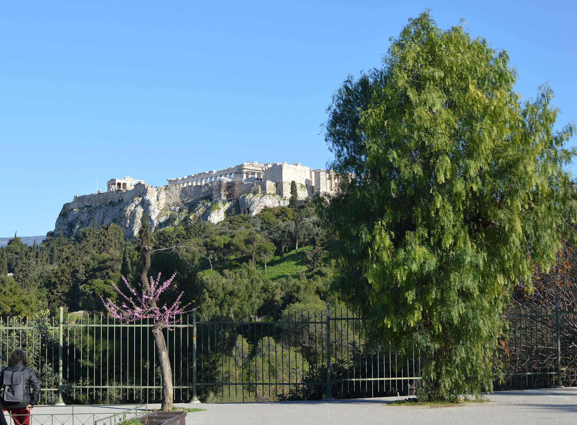 dsc_0058.jpg dsc_0058.jpg