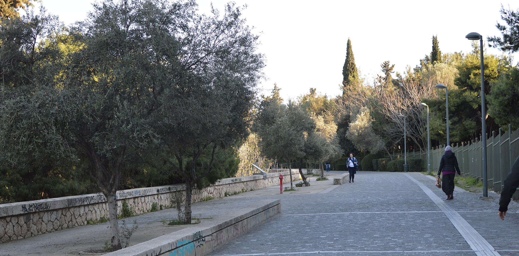 dsc_0061.jpg dsc_0061.jpg
