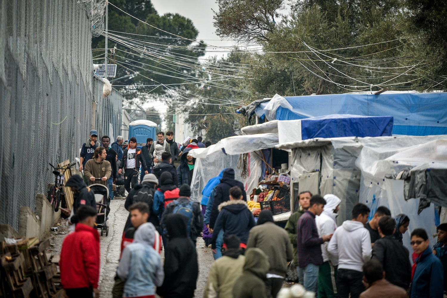 moria_sti_zoygkla_toy_elaiona.jpg moria_sti_zoygkla_toy_elaiona.jpg