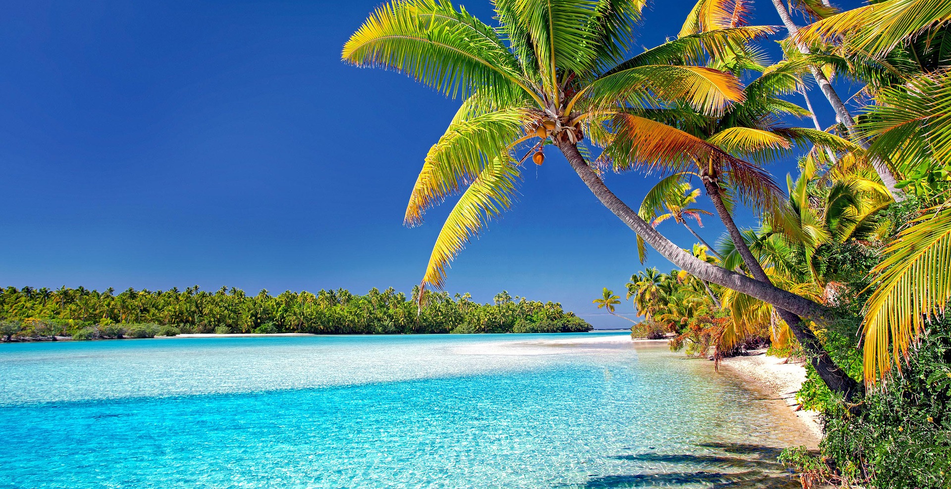 cook-islands-3998261_1920.jpg cook-islands-3998261_1920.jpg