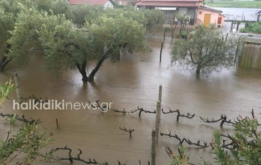 halkidiki.jpg halkidiki.jpg