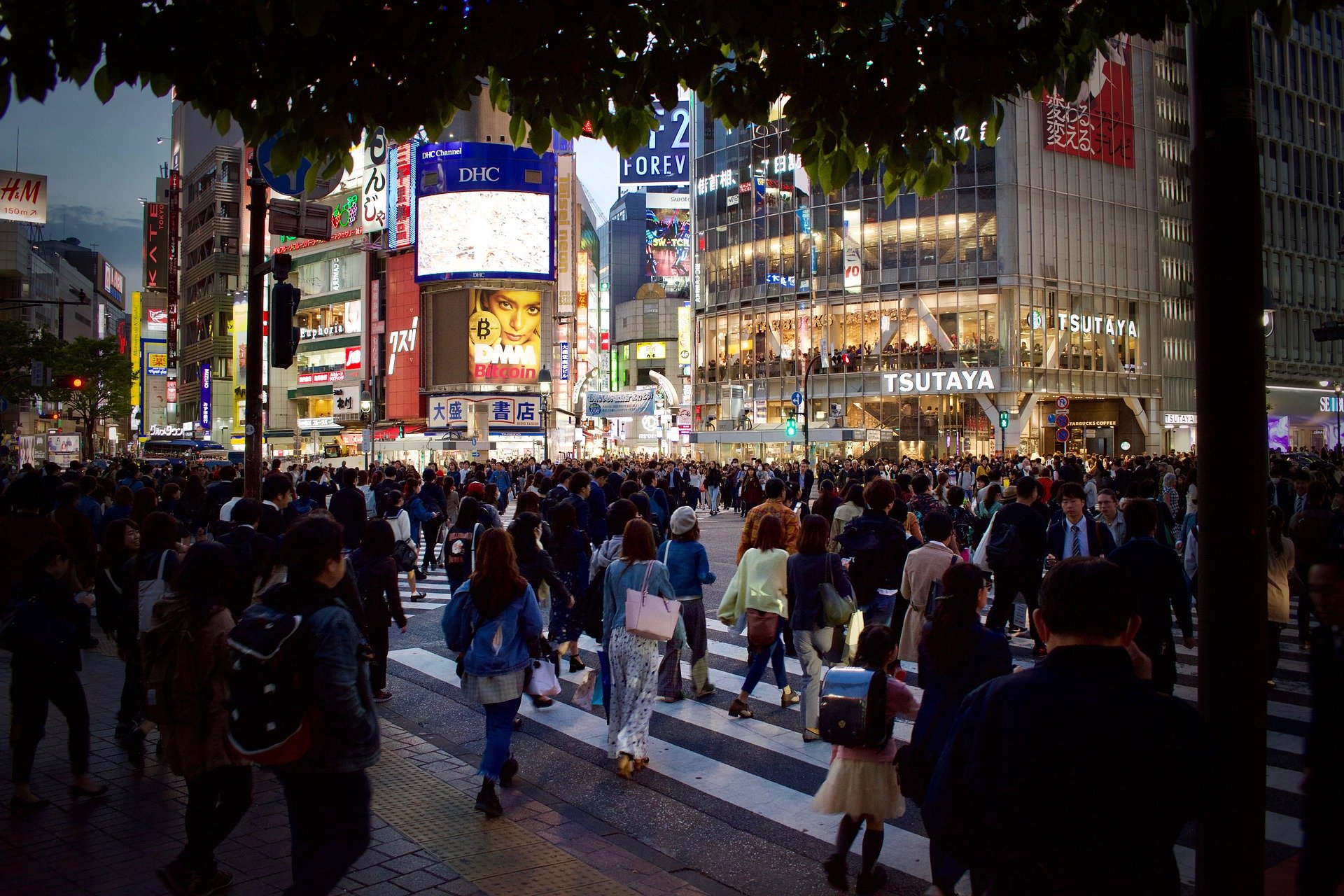 japan-4259948_1920.jpg japan-4259948_1920.jpg