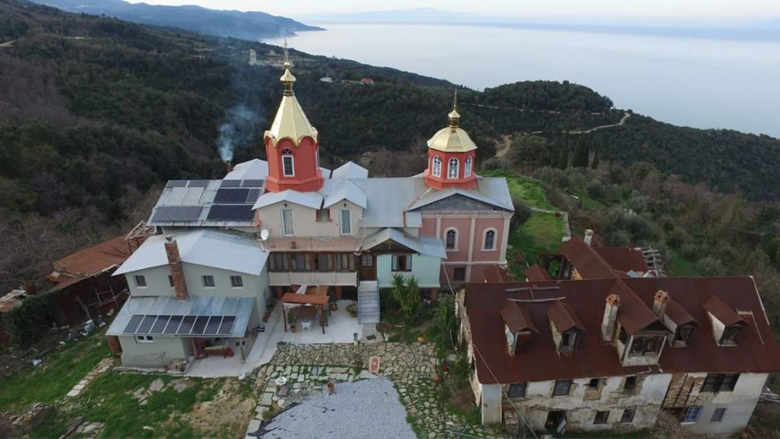 pronata1.jpg pronata1.jpg