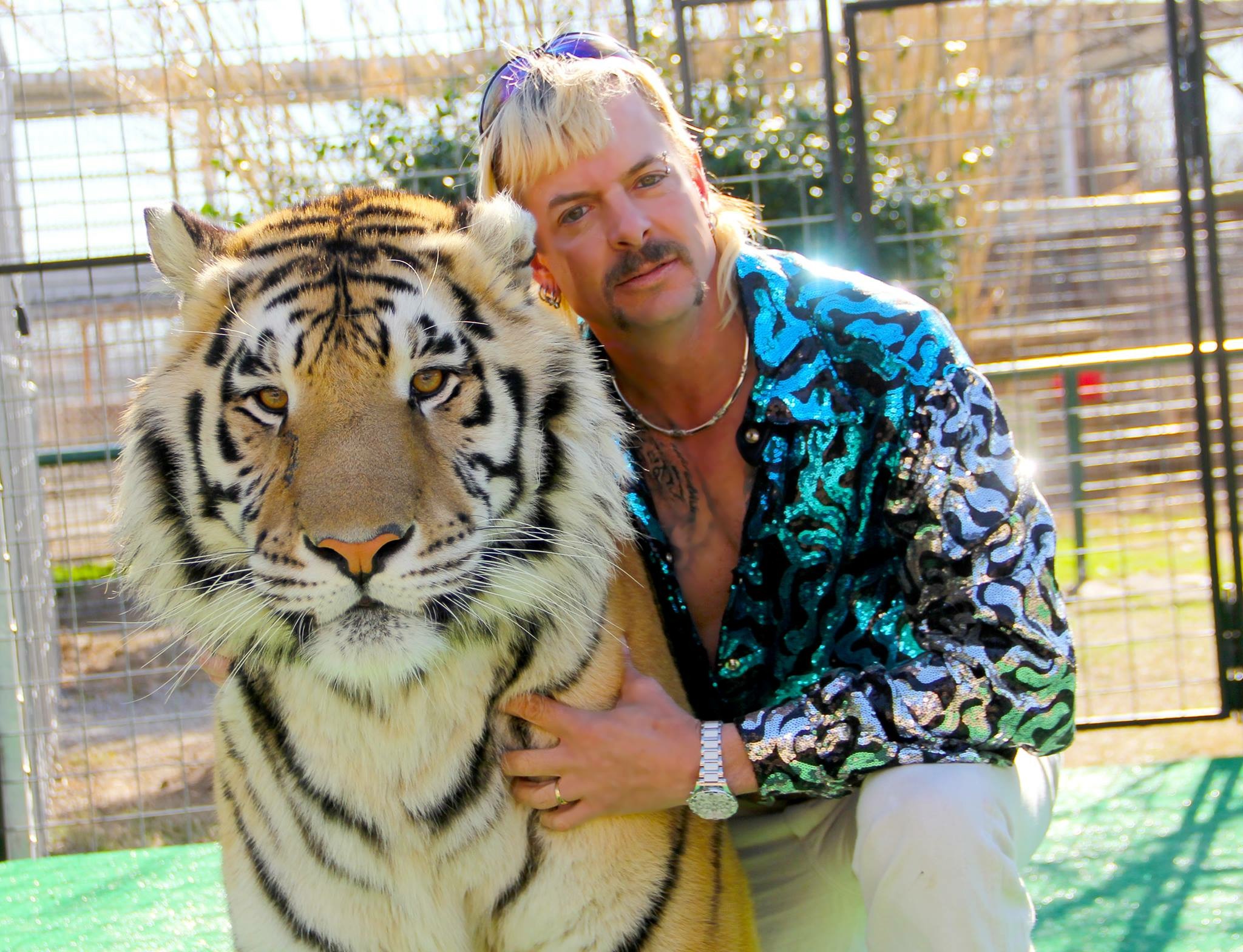 tiger_king_1.jpg tiger_king_1.jpg