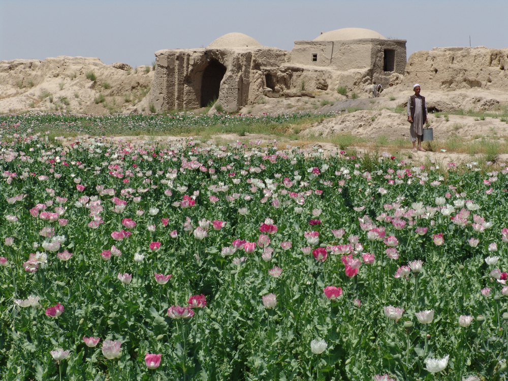 carnetaafganistan.jpg carnetaafganistan.jpg