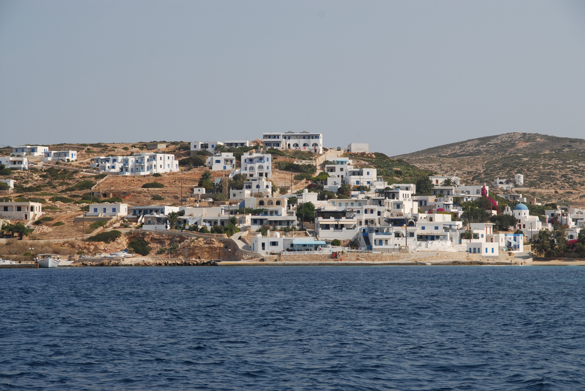 dsc_0141.jpg dsc_0141.jpg