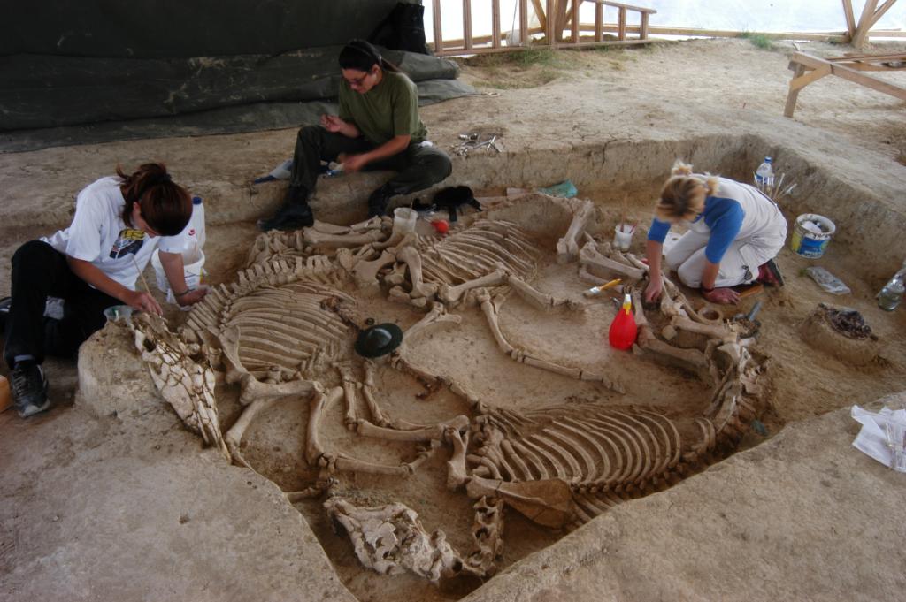 katharismos_skeleton_alogon.jpeg katharismos_skeleton_alogon.jpeg