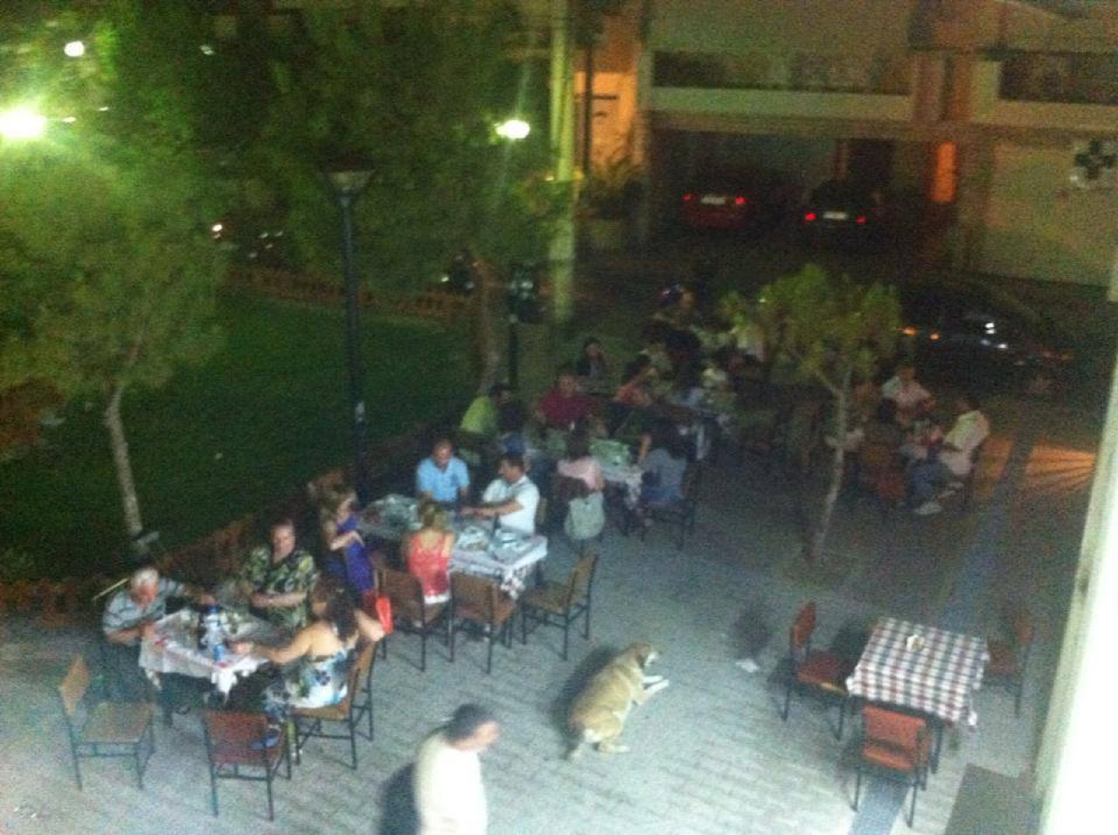 serkos.jpg serkos.jpg