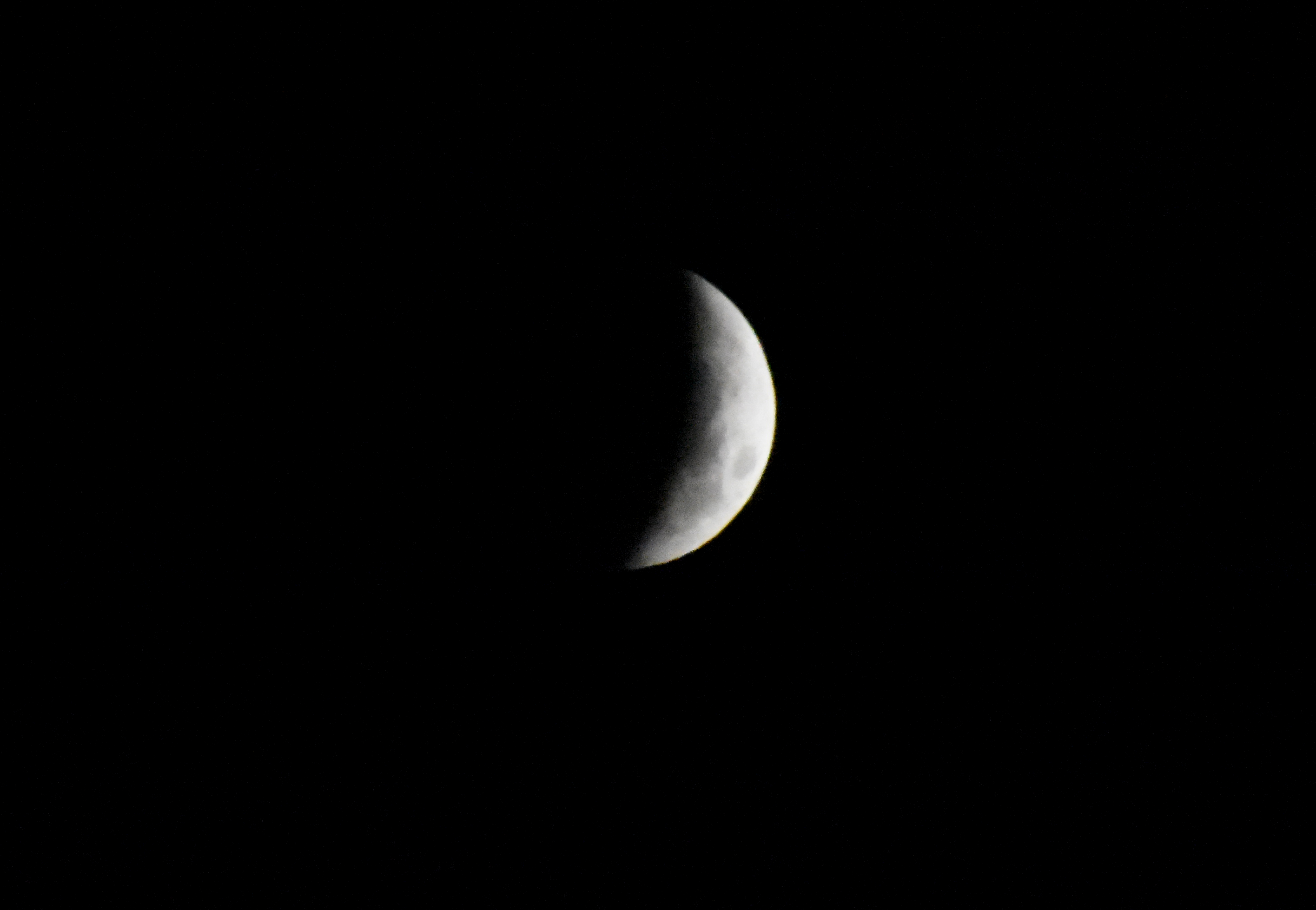 4689507.jpg 4689507.jpg