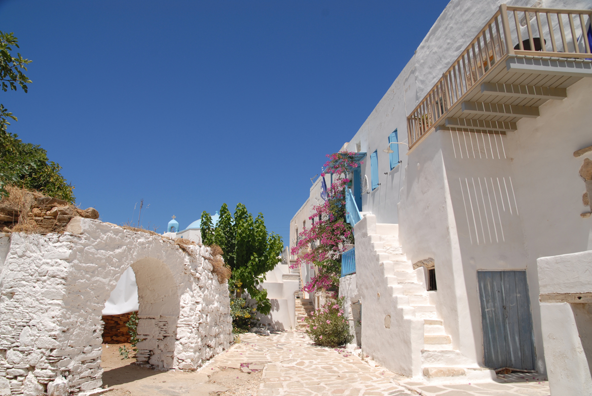 dsc_0031.jpg dsc_0031.jpg