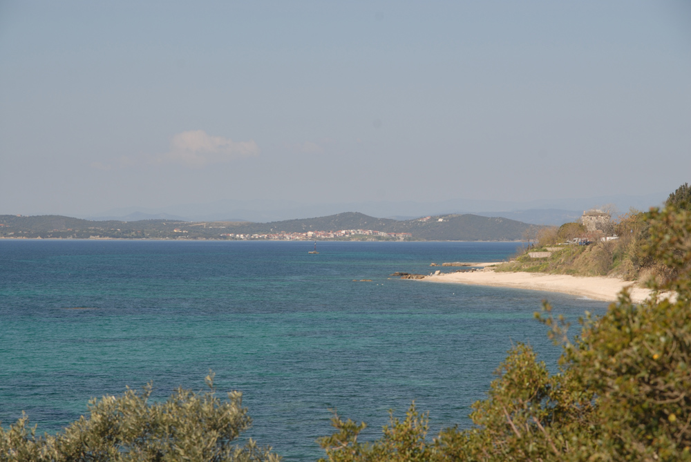 dsc_0239.jpg dsc_0239.jpg