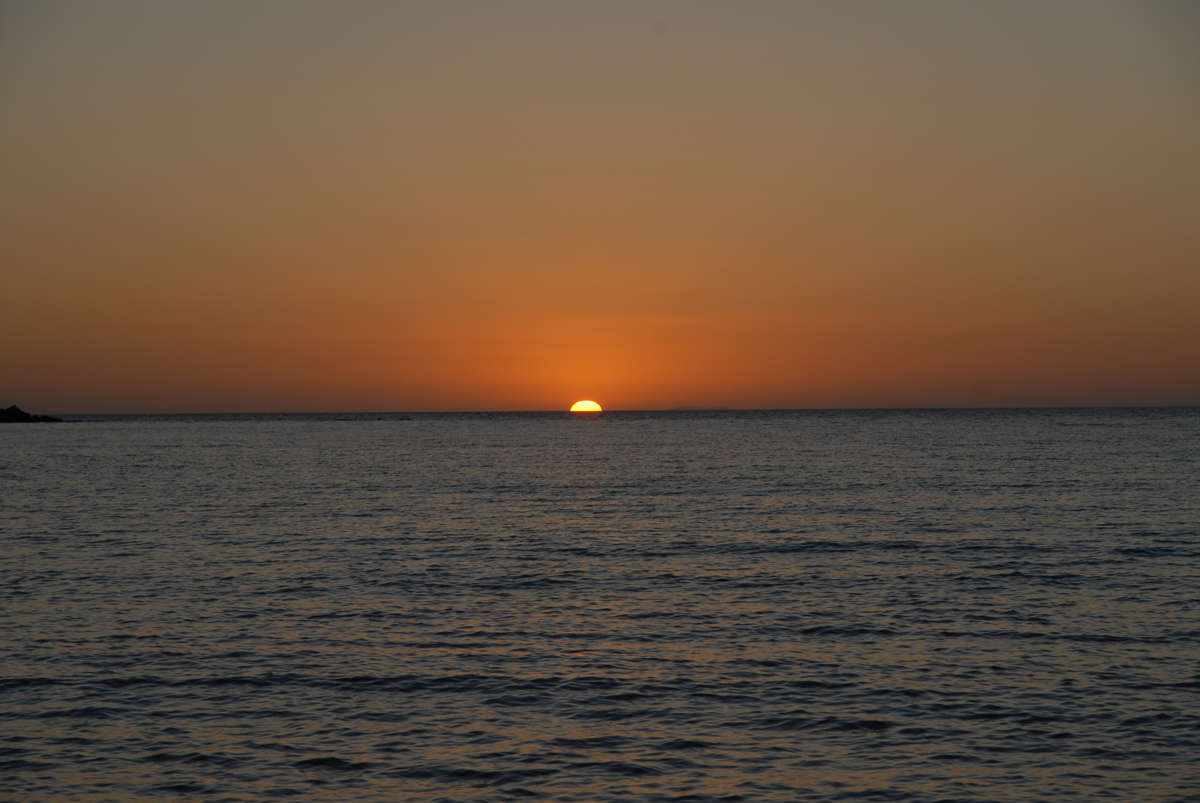 dsc_0461.jpg dsc_0461.jpg