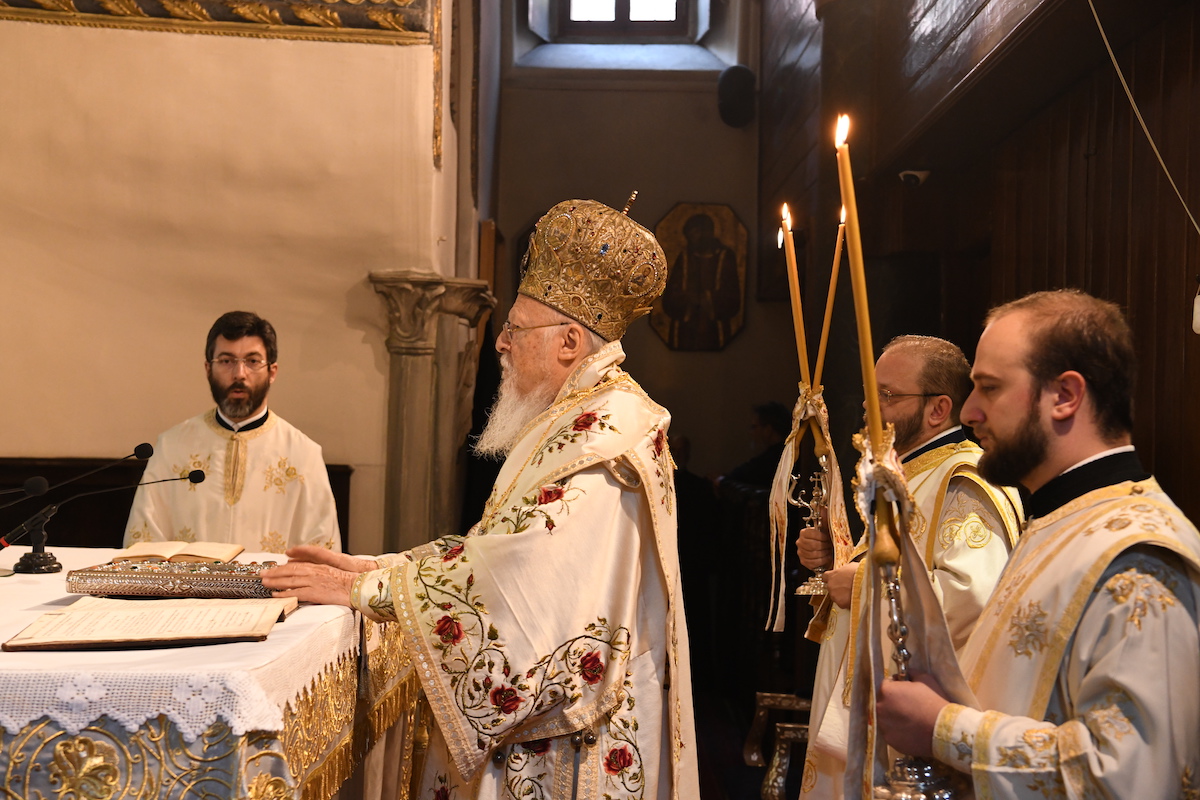 dsc_8387.jpg dsc_8387.jpg