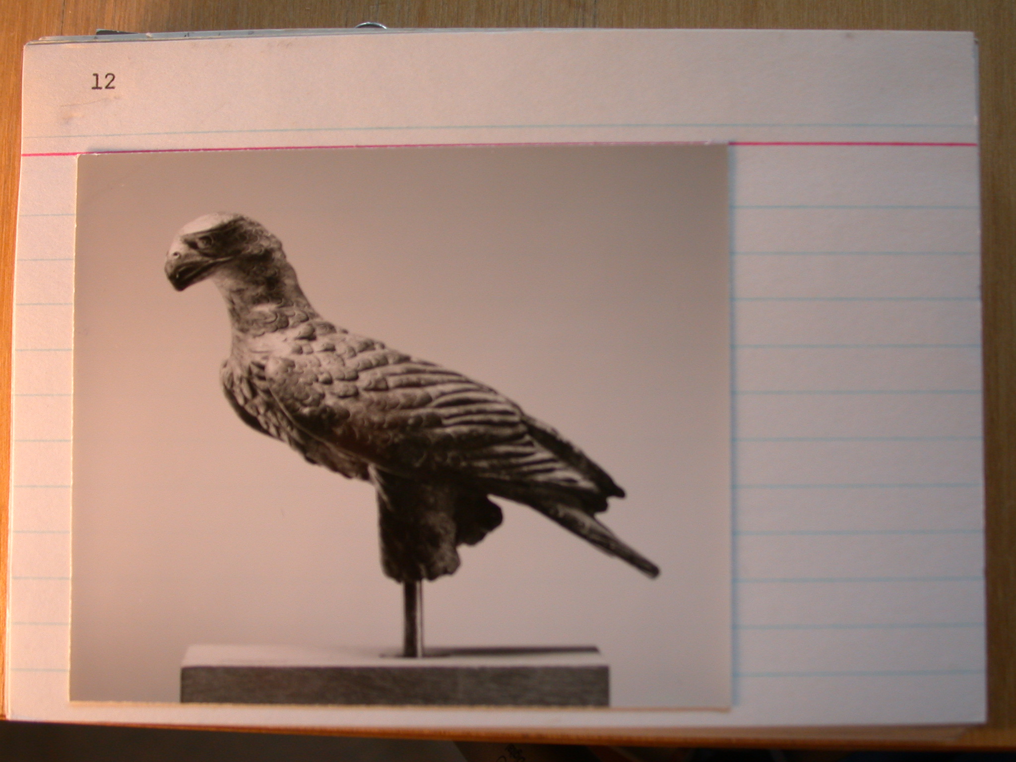 eagle_lot_25_in_becchina.jpg eagle_lot_25_in_becchina.jpg