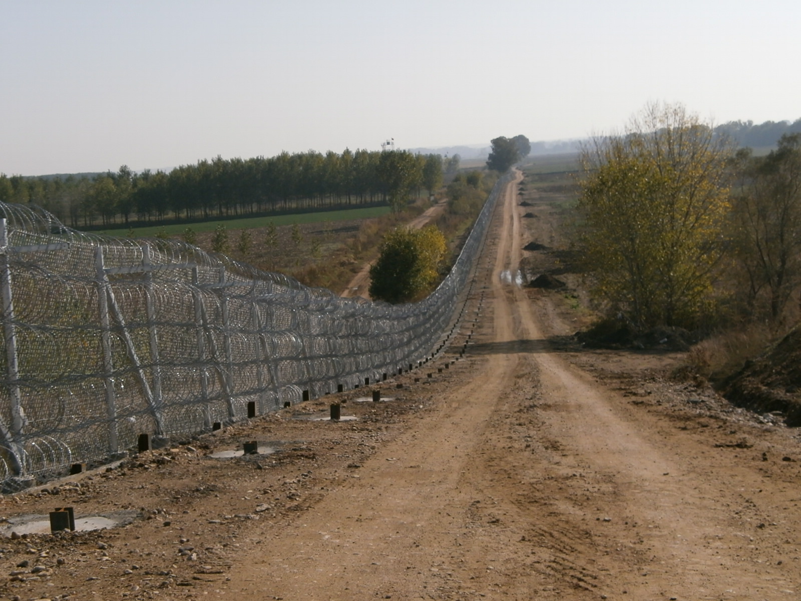 frahtis_1_diki_mas.jpg frahtis_1_diki_mas.jpg