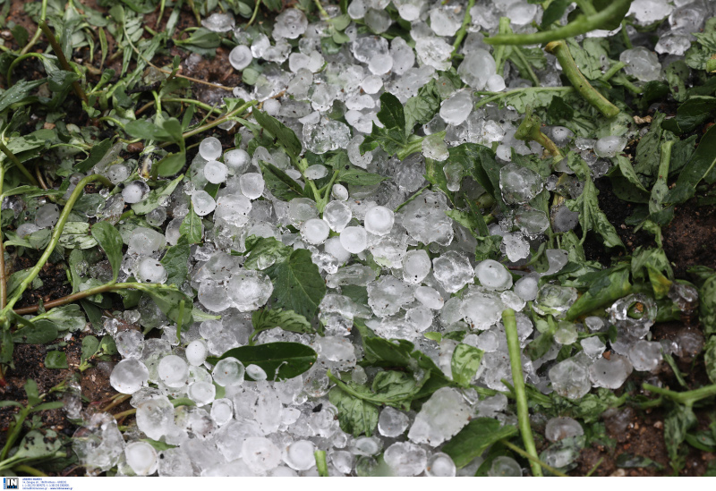 kakokairia-xalazi-mesogeia.jpg kakokairia-xalazi-mesogeia.jpg