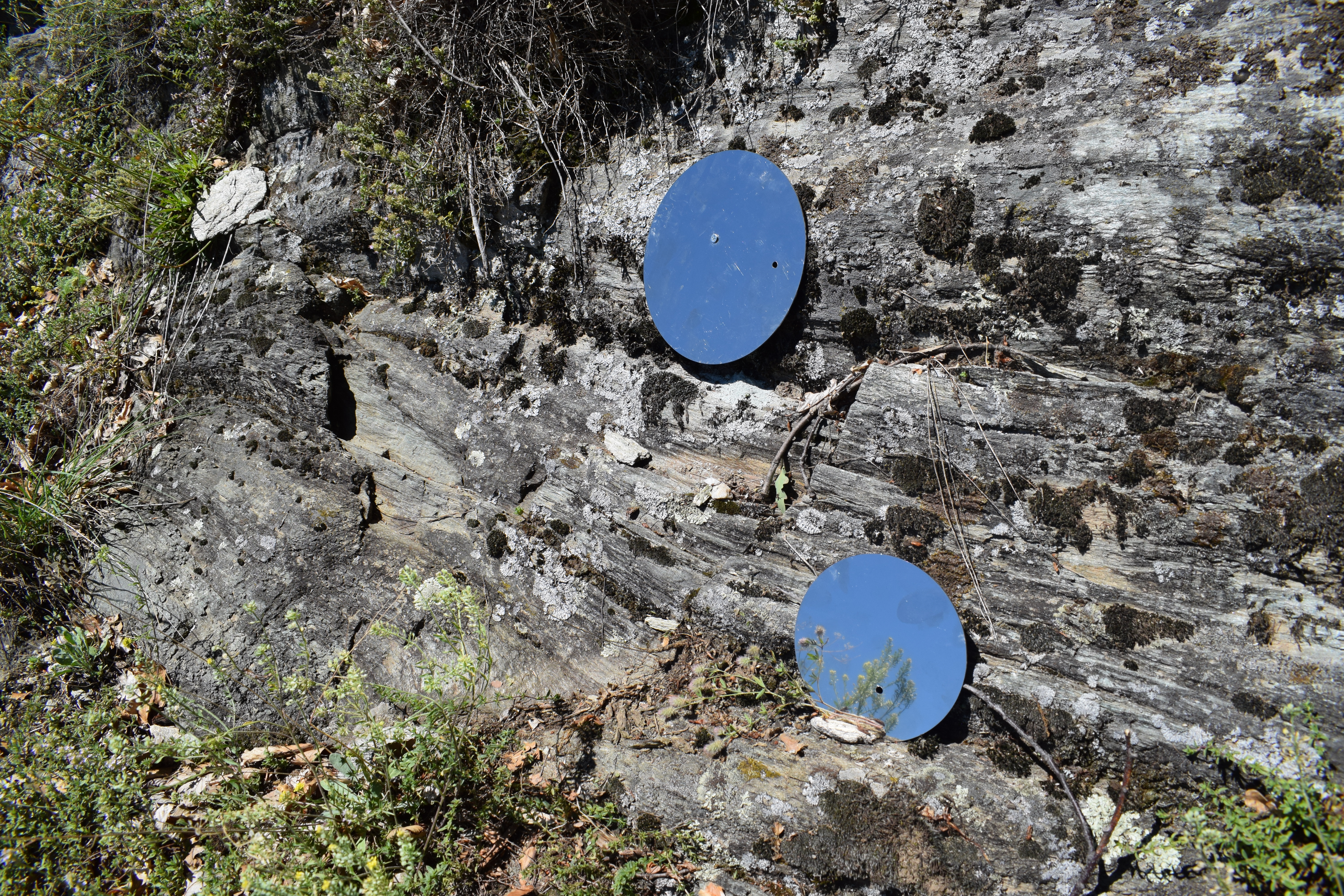 dsc_0077.jpg dsc_0077.jpg