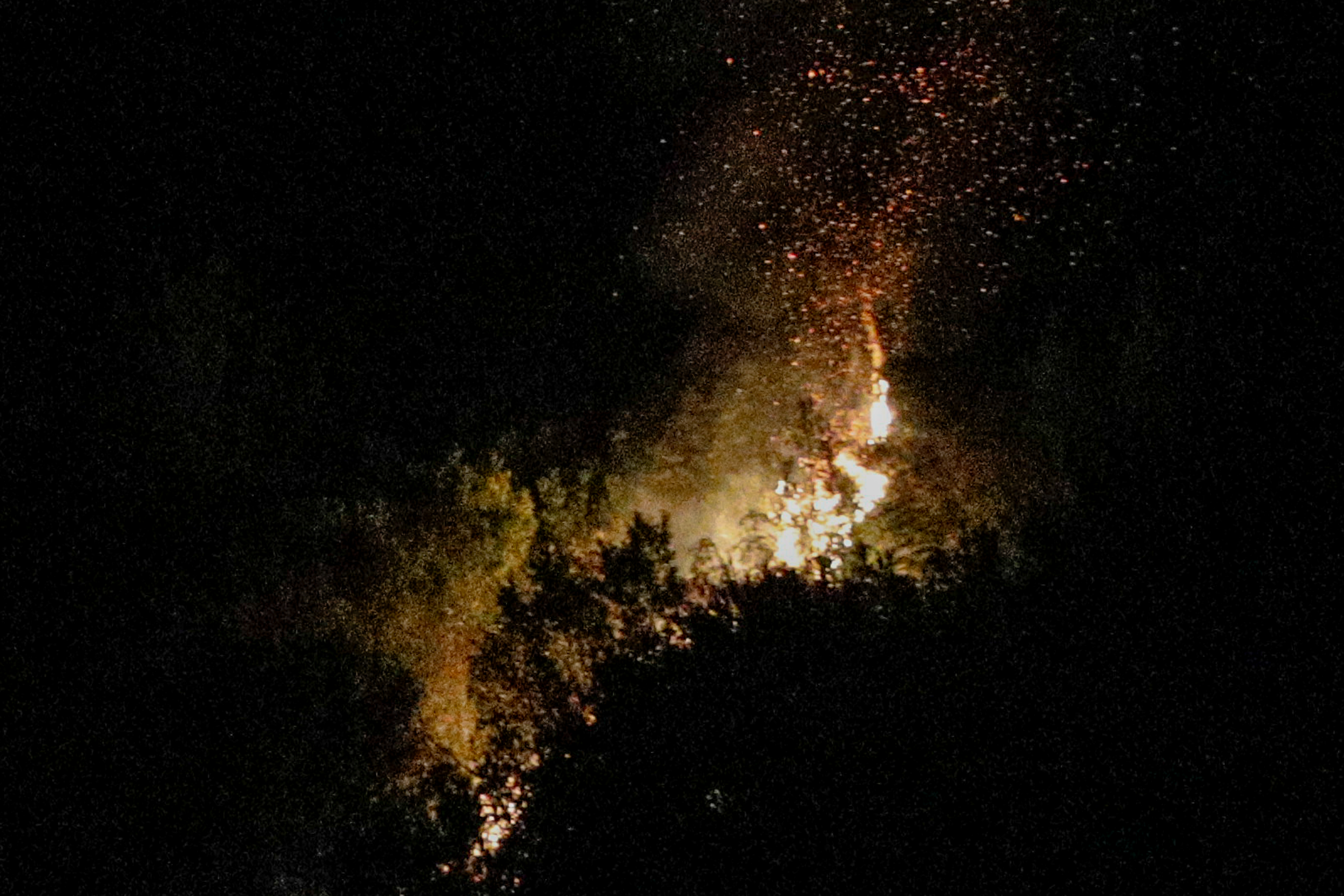 5130582.jpg 5130582.jpg