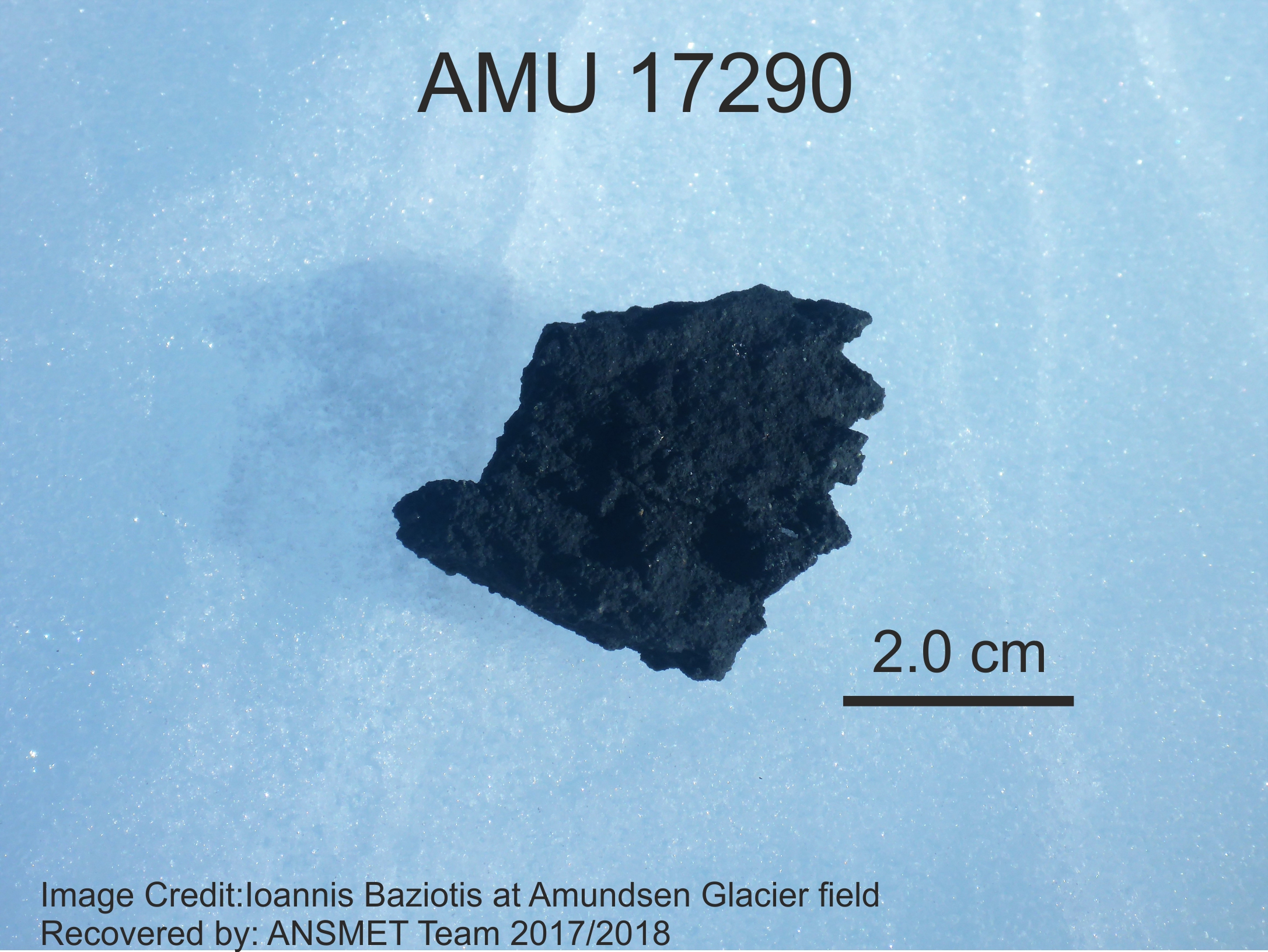 amu17290inthefieldwithscale.jpg amu17290inthefieldwithscale.jpg