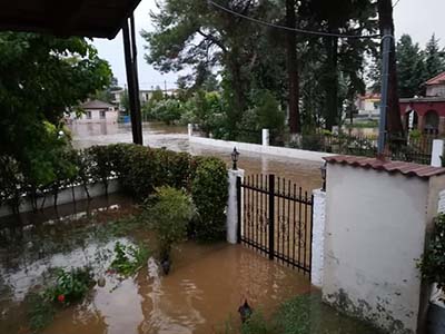 kavalar3.jpg kavalar3.jpg