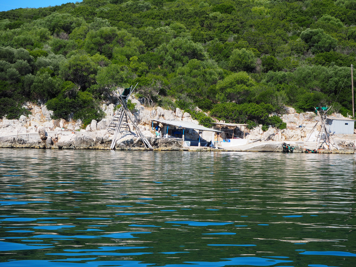 p7210333_ntaliani_-_paradosiakos_tropos_psarematos.jpg