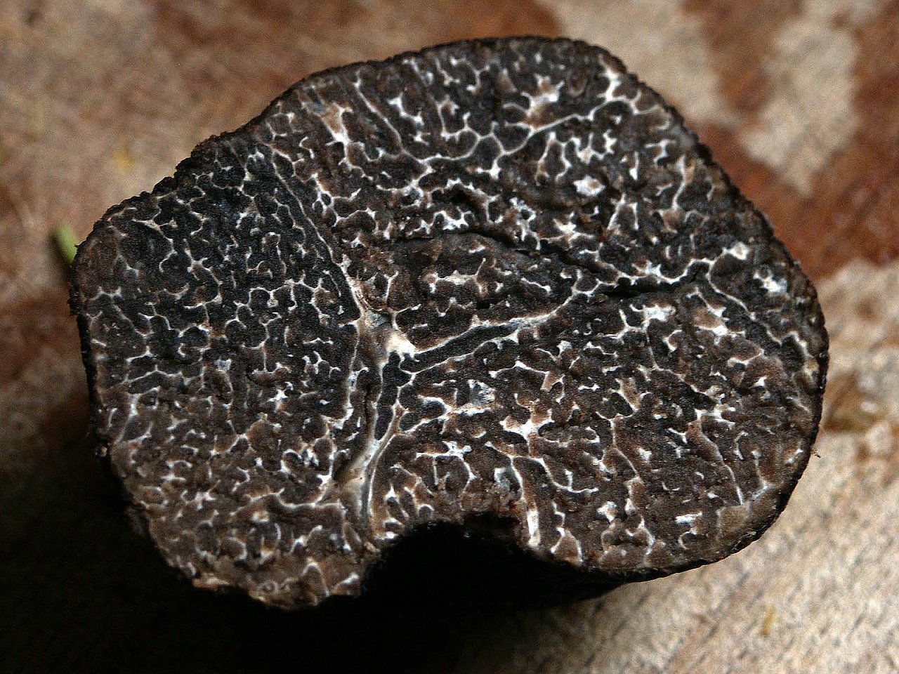 winter-truffle-203032_1280.jpg winter-truffle-203032_1280.jpg