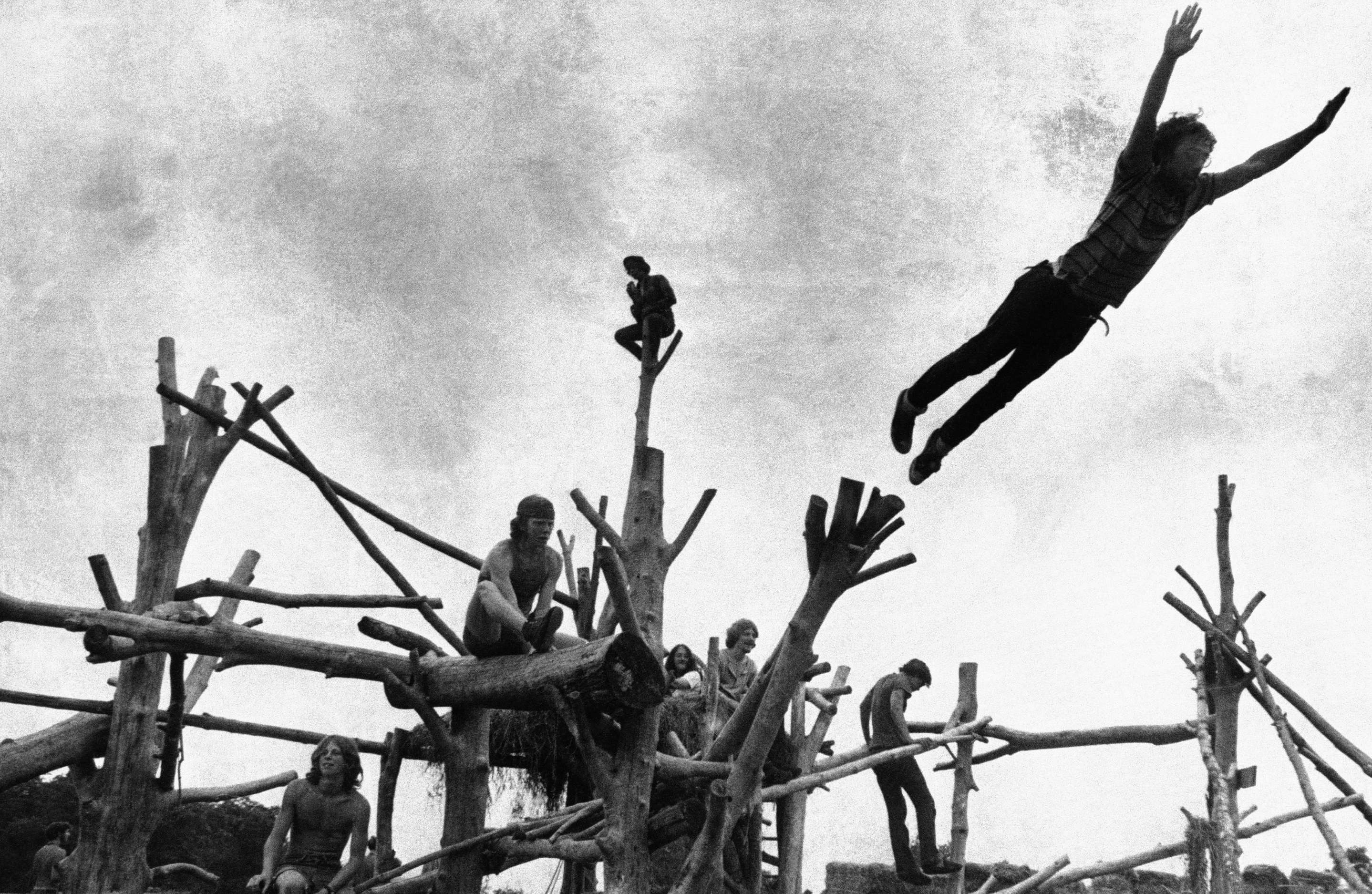 woodstock_1.jpg woodstock_1.jpg