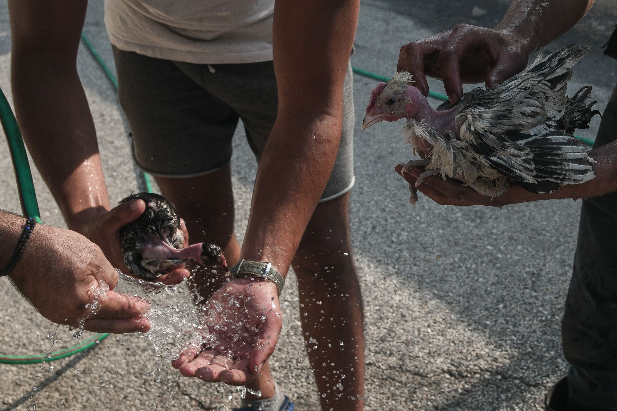 keratea3.jpg keratea3.jpg