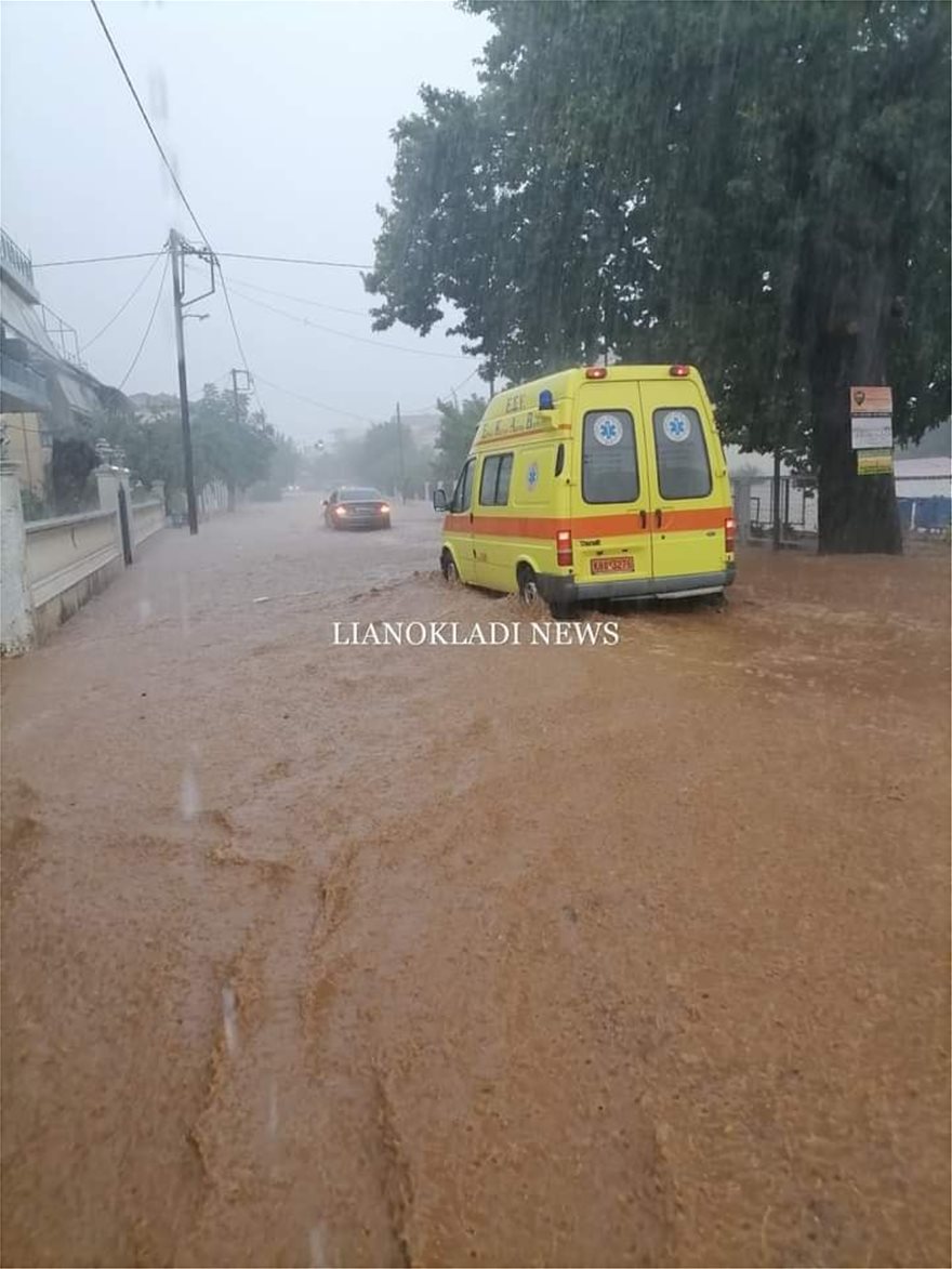 lianokladi.jpg lianokladi.jpg
