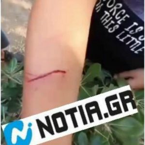 notia1.jpg notia1.jpg
