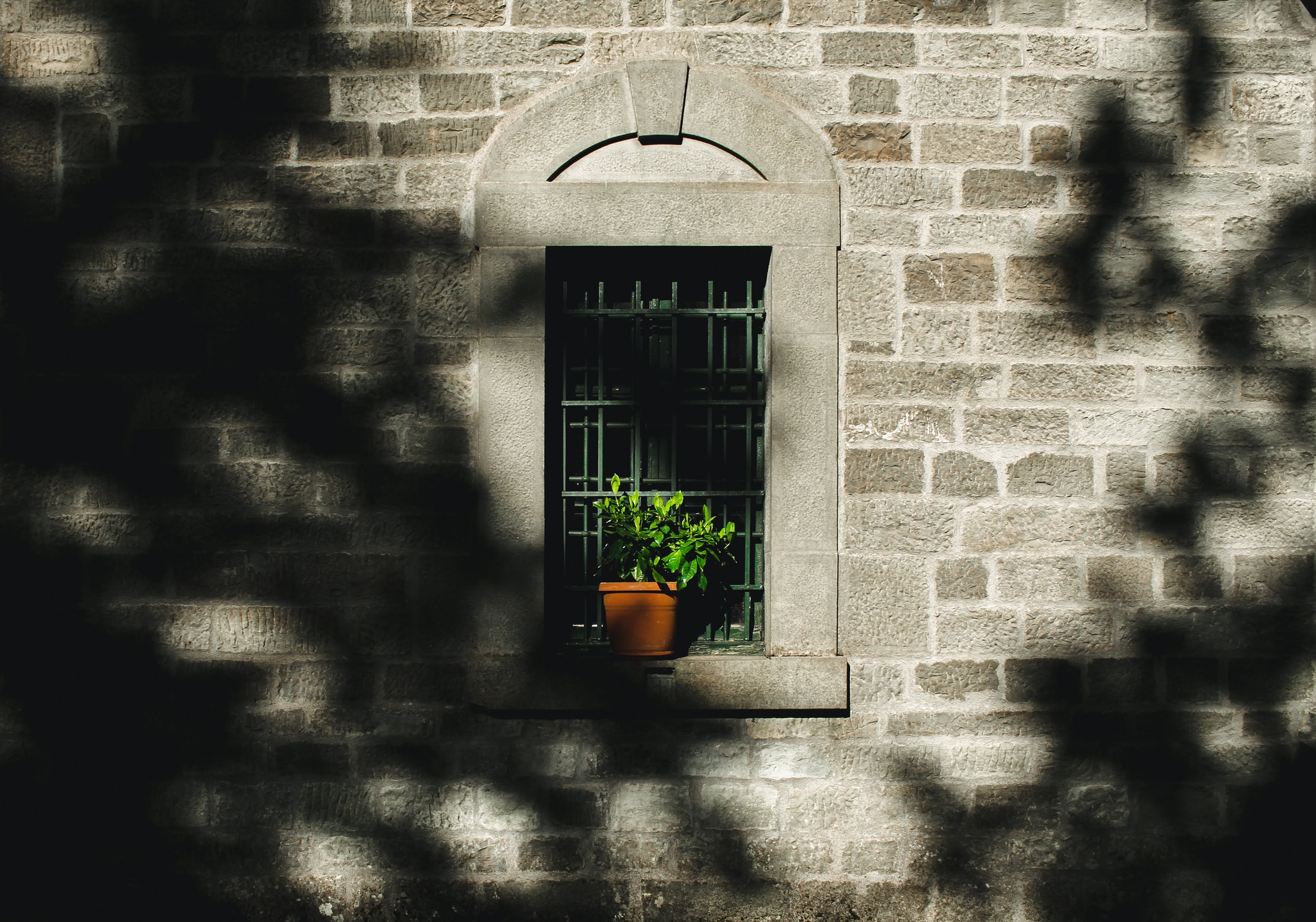 metsovo2-unsplash.jpg metsovo2-unsplash.jpg