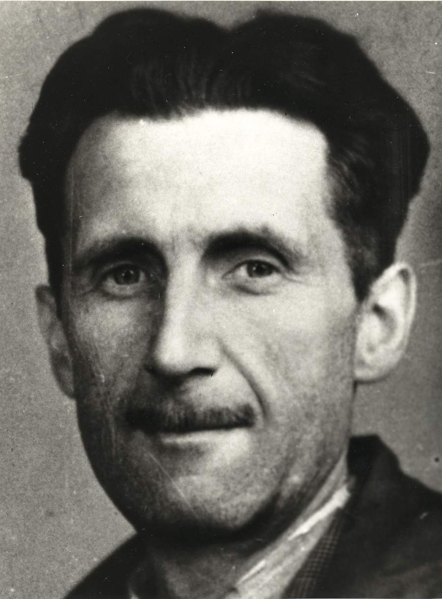 orgoyel.jpg