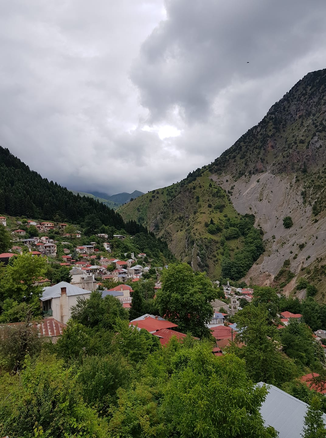tzoyrtzia.jpg tzoyrtzia.jpg