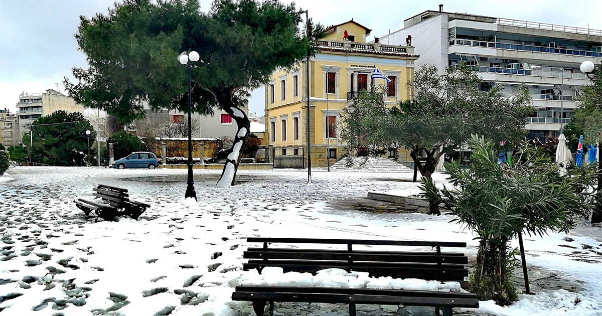 xionia-chalkida-4.jpg xionia-chalkida-4.jpg