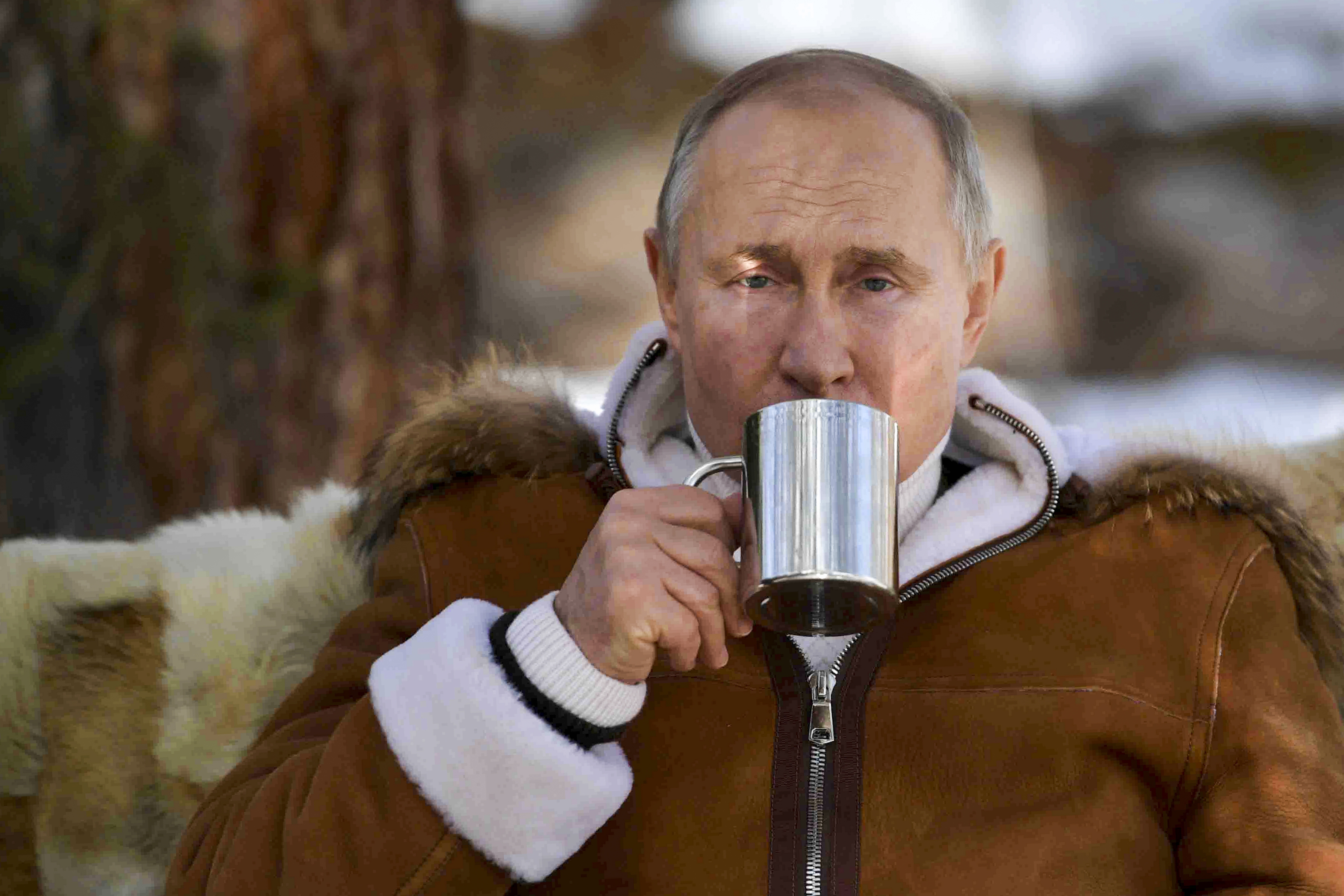 poytin.jpg putin
