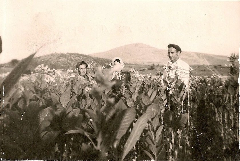 2sta-xoriafia-me-ton-kapno.jpg 2sta-xoriafia-me-ton-kapno.jpg