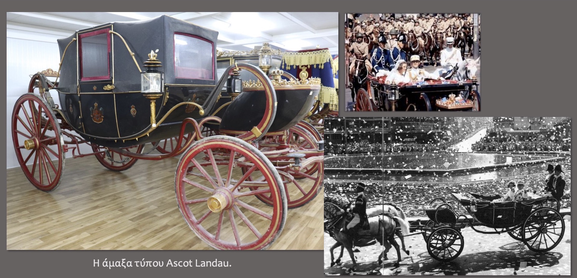 amaxa_typoy_ascot_landau.jpg amaxa_typoy_ascot_landau