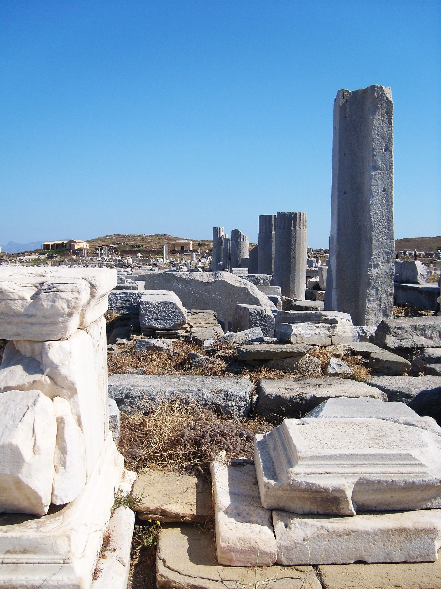 dilos-pixabay.jpg dilos-pixabay.jpg